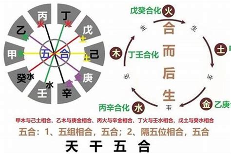 乙卯日|乙卯日柱三命通会论命 乙卯日柱三命通会详解